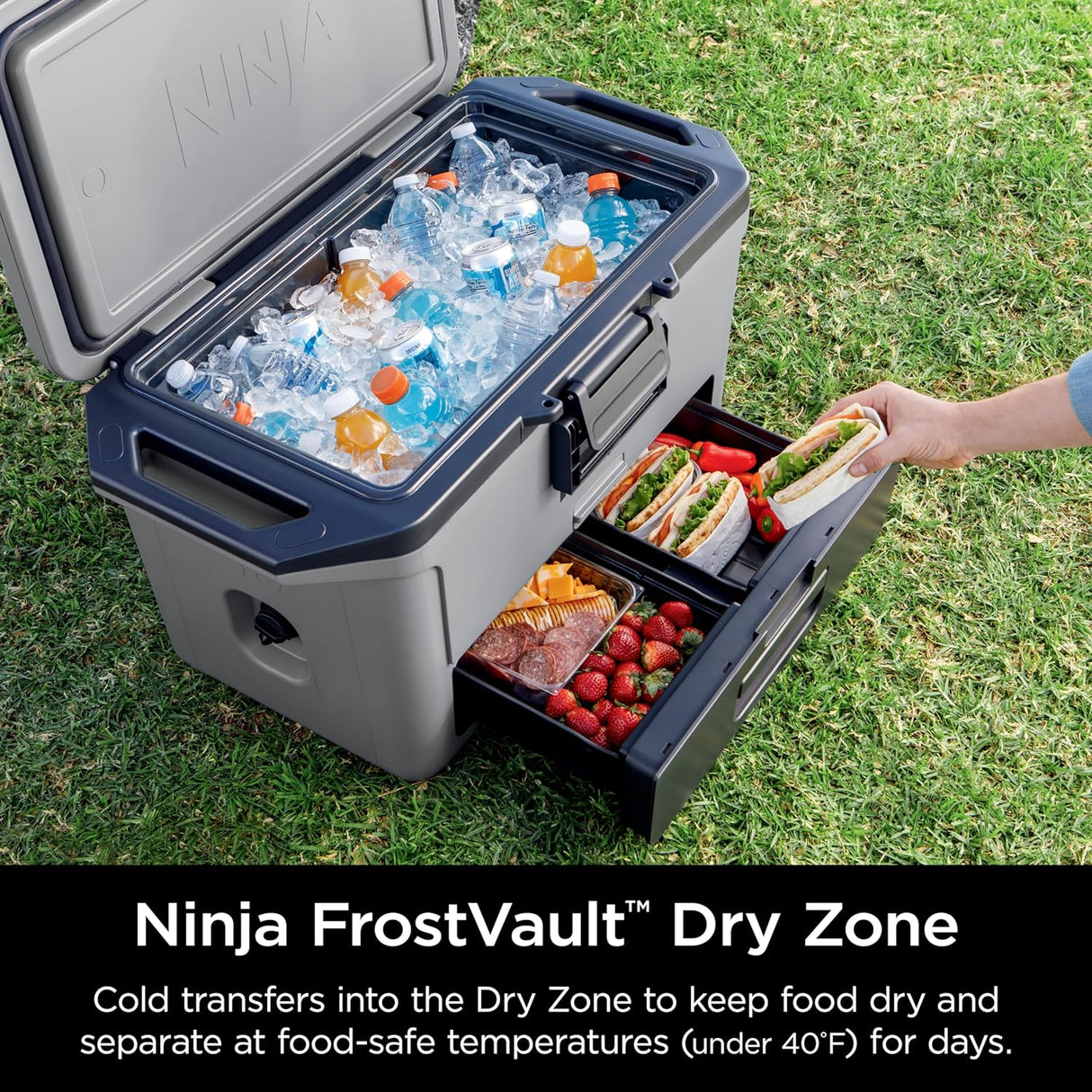 Ninja FrostVault 47L Hard Cooler with Dry Zone Slate Grey | FB151UKGY
