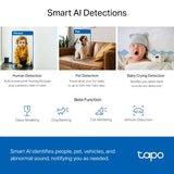 Tapo Pan/Tilt Home Security Wi-Fi Camera | TAPOC220
