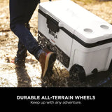 Ninja FrostVault 65QT/61L Wheeled Cooler with Dry Zone - Cloud White  | FB265EUUKWH