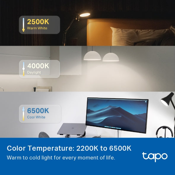 Tapo Smart WiFi Light Bulb - Multicolor | TAPOL535B