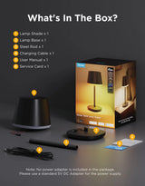 Govee Classic Cordless Smart Table Lamp - Black | R1741B11