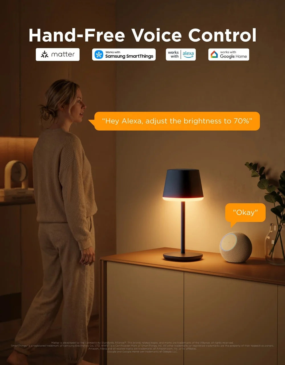 Govee Classic Cordless Smart Table Lamp - Black | R1741B11